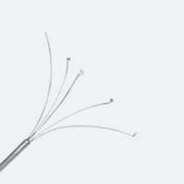Pinza da presa autoclavabile per endoscopia flessibile Endomed 610520